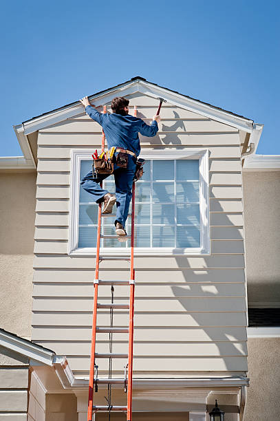 Best Fascia and Soffit Installation  in Shenandoah, IA